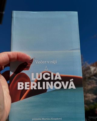 Kdo by si to nepřál…